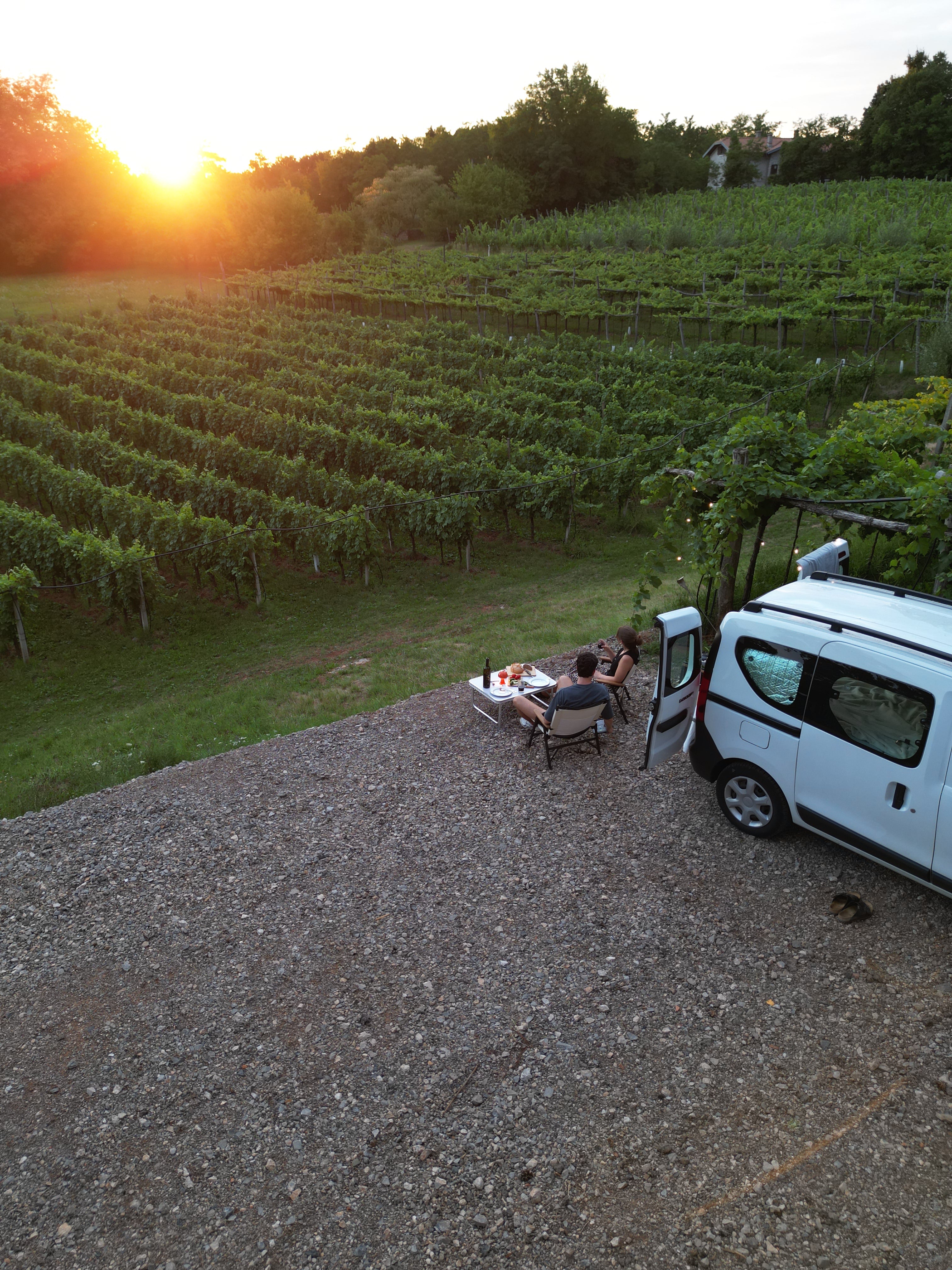 Camping im Weinfeld mit Campingbox für Hochdachkombis